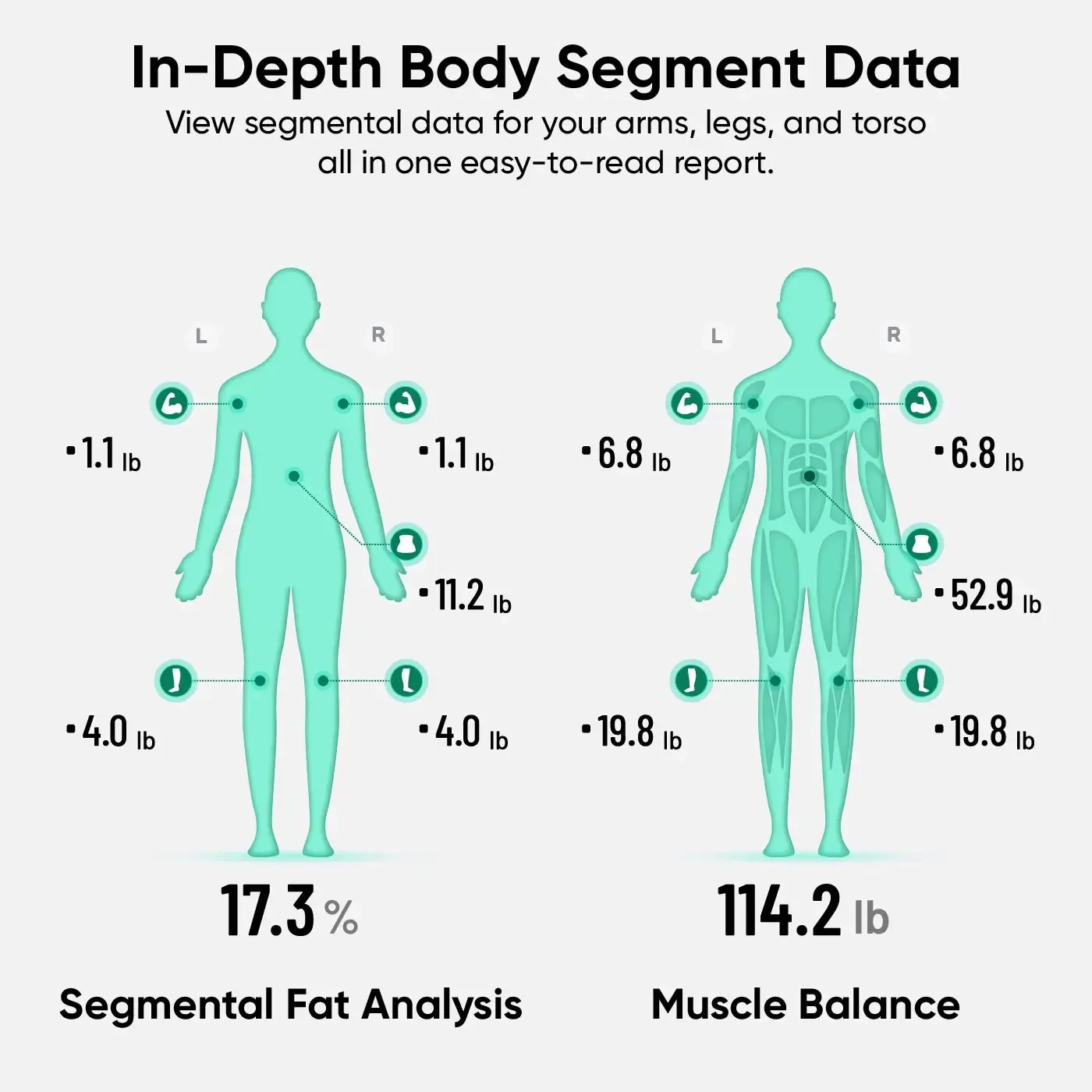 Wyze Scale Ultra BodyScan - Image 6